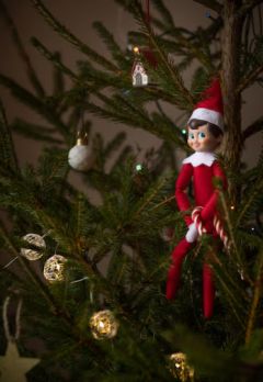 Décembre commence… et les petits lutins s’agitent !